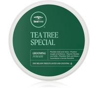 Paul Mitchell Tea Tree Special Grooming Pomade pommade cheveux définition et forme 85 g