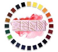 Paul Rubens Ensemble de Peinture Aquarelle d'artiste, 24 Couleurs Vives dans Une boîte Portable, Haute Transparence, Excellente résistance à la lumière, Ensemble d'aquarelle Professionnel de Voyage p