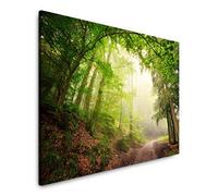 Paul Sinus Art Forêt avec chemin de forêt 40 x 60 cm - Art photo inspirant de qualité musée pour votre maison - Décoration murale sur toile