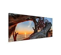 Paul Sinus Art - Image panoramique - 150 x 50 cm - Photographie de la nature - Bois flotté sur la plage au lever du soleil - Sur toile - Décoration murale exclusive - Photographie moderne pour votre
