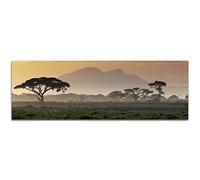 PAUL SINUS Art Image sur Toile et panoramique Châssis 150 x 50 cm Afrique prés Arbres Montagnes Coucher de Soleil