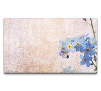 Paul Sinus Art Images XXL myosotis devant un mur clair 120 x 70 cm Tableau mural sur toile