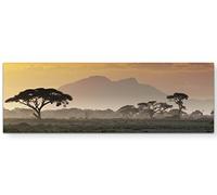 Paul Sinus Art Impressions sur toile 120 x 40 cm Magnifique coucher de soleil dans la savane africaine