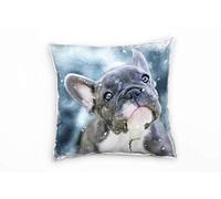 Paul Sinus Art Petit Bouledogue français Coussin décoratif canapé canapé 40 x 40 cm - Décoration Bien-être - Fabriqué en Allemagne, Microfibre, Gris, Bezug Ohne Füllung