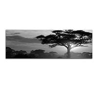 Paul Sinus Art Photo sur toile panoramique Noir/blanc 150 x 50 cm Motif paysage africain arbres coucher de soleil