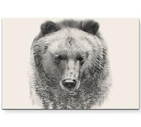 Paul Sinus Art Tableau de qualité Décoration Motif Ours avec forêt, 120 x 80 cm