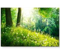 Paul Sinus Art Tableau imprimé de qualité avec pissenlits dans la forêt, 120 x 80 cm