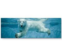 Paul Sinus Art Tableau imprimé sur toile tendue sur toile Motif ours polaire flottant, 120 x 40 cm