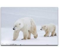 Paul Sinus Art Tableau mural avec ours polaires dans la neige - Différentes tailles - Choisissez votre taille 100 x 70 cm