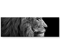 Paul Sinus Art Tableau mural de qualité Motif lion Noir/blanc, 150 x 50 cm