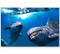 Paul Sinus Art Tableau Mural prêt à Poser Décoration Murale Motif Dauphins, 120 x 80 cm