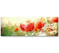Paul Sinus Art Tableau sur toile tendue Motif coquelicots au soleil, Toile, 120 x 40 cm