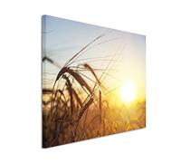Paul Sinus Art Toile photo XXL 120 x 80 cm - Photographie de la nature - Champ de blé au lever du soleil - Tableau mural exclusif - Photographie moderne pour votre mur - Disponible dans de nombreuses