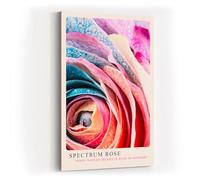 Paul Sinus Impression d'art 40 x 60 cm Rose spectrale en gros plan - Merveilles de couleurs de la nature dans une structure artistique