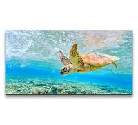 Paul Sinus Impression sur toile 120 x 60 cm Tortue de mer sous l'eau Mer Plongée Océan