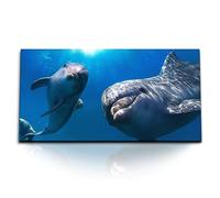 Paul Sinus Tableau mural 120 x 60 cm - Dauphins fascinants : monde sous-marin avec deux dauphins dans l'océan bleu clair - Harmonie parfaite et nature sur toile de qualité supérieure