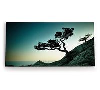 Paul Sinus Tableau mural 120 x 60 cm Motif arbre suisse saxon rocher soirée art photographique