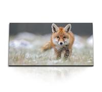 Paul Sinus Tableau mural 120 x 60 cm Renard - Nature sauvage vivante Un renard fascinant en gros plan qui traverse un paysage enneigé.