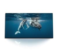 Paul Sinus Tableau mural 120 x 60 cm - Rencontre à couper le souffle avec les baleines : un moment sous-marin fascinant sur toile pour les amoureux de la mer et des amoureux de la nature