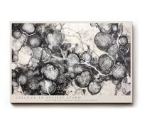 Paul Sinus Tableau mural 120 x 80 cm Motif Cells of an Ancient Storm Abstract Black and White Depth of Organic Motion