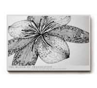 Paul Sinus Tableau mural 120 x 80 cm The Bloom of Imagination - La fleur de l'imagination en noir et blanc