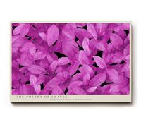 Paul Sinus Tableau mural 120 x 80 cm The Poetry of Leaves Harmony en magenta clair