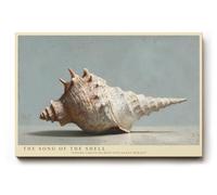 Paul Sinus Tableau mural 120 x 80 cm The Song of the Shell - Représentation réaliste de coquillages dans des tons naturels doux, symbole de calme, d'intemporalité et de mer
