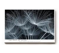 Paul Sinus Tableau mural 120 x 80 cm The Soul of Seeds - Macro planeur à graines, symbole de légèreté, de nouveau départ et de poésie naturelle