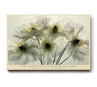 Paul Sinus Tableau mural 120 x 80 cm The Translucent Blooming Light Fragile Flowers in Gentle Radiance