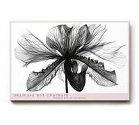 Paul Sinus Tableau mural 150 x 100 cm - Noir et blanc - Macrophotographie - Élégante fleur botanique - Art monochrome moderne - Style élégant