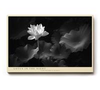 Paul Sinus Tableau mural 180 x 120 cm Lotus in the Night - Élégance intemporelle d'une fleur de lotus en fleurs dans l'obscurité, symbole de pureté, de calme et d'illumination