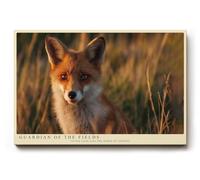 Paul Sinus Tableau mural 30 x 20 cm Guardian of the Fields - Le renard dans la lumière dorée du soir symbolise la vigilance, l'association naturelle et la beauté silencieuse
