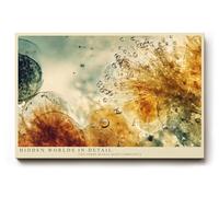 Paul Sinus Tableau mural 30 x 20 cm - Microstructure abstraite - Macrophotographie - Formes organiques - Art naturel moderne - Décoration murale élégante pour salon et bureau