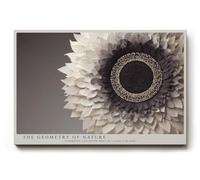 Paul Sinus Tableau mural 30 x 20 cm The Geometry of Nature - La forme de fleur détaillée avec une symétrie parfaite symbolise l'harmonie, la profondeur et la structure naturelle