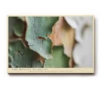 Paul Sinus Tableau mural 45 x 30 cm The Beauty of Decay - Esthétique de la dégradation en couleur et en structure