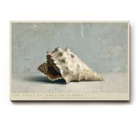 Paul Sinus Tableau mural 45 x 30 cm The Shell of Timeless Echoes Still Life of Ocean Memory and Natural Harmony