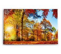 Paul Sinus Tableau mural 60 x 40 cm Art décoratif Forêt Arbres Automne Soleil Feuilles d'automne Nature