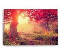 Paul Sinus Tableau mural 60 x 40 cm Art décoratif Forêt Automne Feuilles rouges Nature Arbre Chêne Soleil