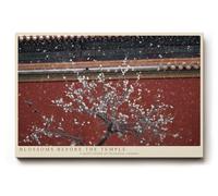 Paul Sinus Tableau mural 60 x 40 cm Fleurs de cerisier devant temple Architecture asiatique Motif printemps Photographie de la nature calme Décoration murale élégante pour salon bureau