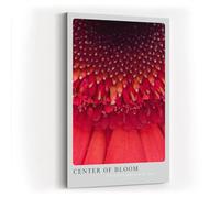 Paul Sinus Tableau mural 60 x 90 cm Center of Bloom - Macro photo d'une fleur rouge avec structure et profondeur fascinantes