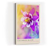 Paul Sinus Tableau mural 60 x 90 cm Columbine Bloom en gros plan d'une fleur d'ancolie dans des couleurs délicates avec fond pastel