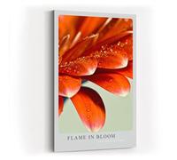 Paul Sinus Tableau mural 60 x 90 cm Flame in Bloom - Pétales rouges avec gouttes de rosée en gros plan lumineux