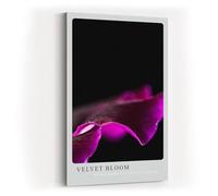 Paul Sinus Tableau mural 60 x 90 cm Velvet Bloom - Forme de fleur veloutée en violet foncé sur noir