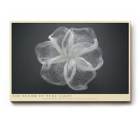 Paul Sinus Tableau mural 75 x 50 cm The Bloom of Pure Light - Transparence délicate et élégance intemporelle dans une forme minimaliste