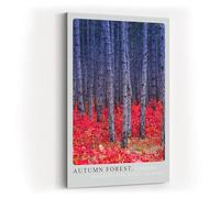 Paul Sinus Tableau mural 80 x 120 cm Forêt d'automne Canada avec feuillage rouge et troncs d'arbres profonds dans une ambiance contrastée
