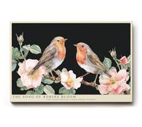 Paul Sinus Tableau mural 90 x 60 cm The Song of Robins Bloom - Représentation délicate de deux rouges-gorges sur des branches en fleurs - Tableau mural romantique de 90 x 60 cm pleine de légèreté et