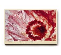 Paul Sinus Tableau mural bleu rouge macro art botanique fleurs transparentes décoration murale salon chambre à coucher