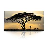 Paul Sinus Tableau mural de 120 x 60 cm - Impressionnant paysage naturel au coucher du soleil - Œuvre d'art sur toile et cadre en bois