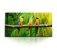 Paul Sinus Tableau mural de 120 x 60 cm - Motif perroquets colorés - Attire tous les regards dans votre maison