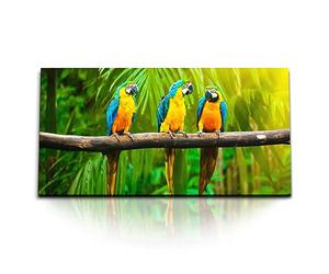 Paul Sinus Tableau mural de 120 x 60 cm - Motif perroquets colorés - Attire tous les regards dans votre maison